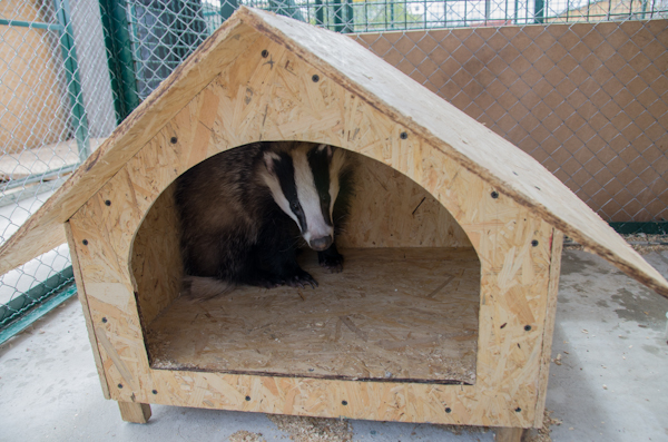 Коллекция зооуголка в Севастополе пополнилась новыми обитателями