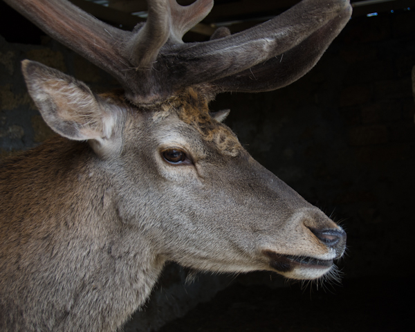 Коллекция зооуголка в Севастополе пополнилась новыми обитателями