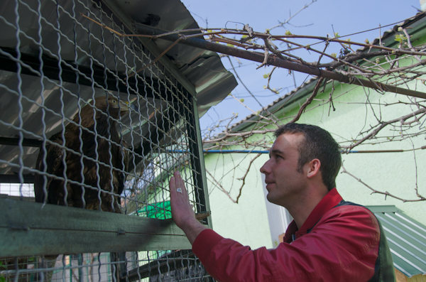 Коллекция зооуголка в Севастополе пополнилась новыми обитателями
