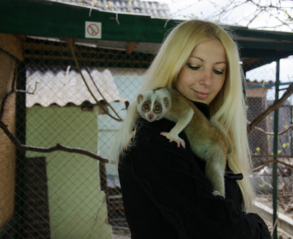 Коллекция зооуголка в Севастополе пополнилась новыми обитателями