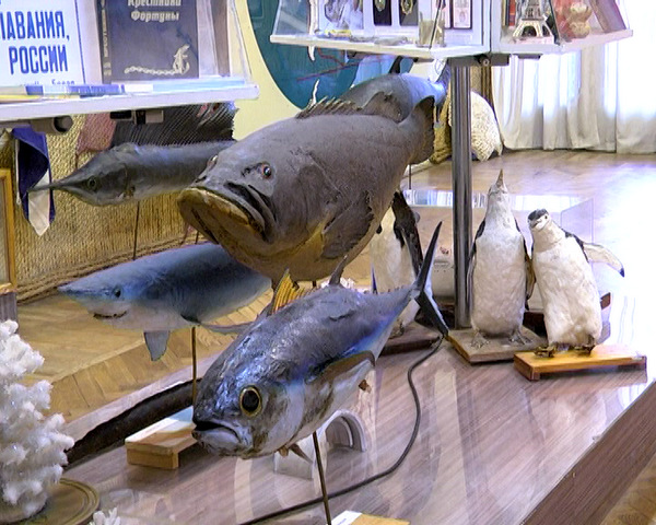 Музей рыбаков в Севастополе пополнился новыми экспонатами