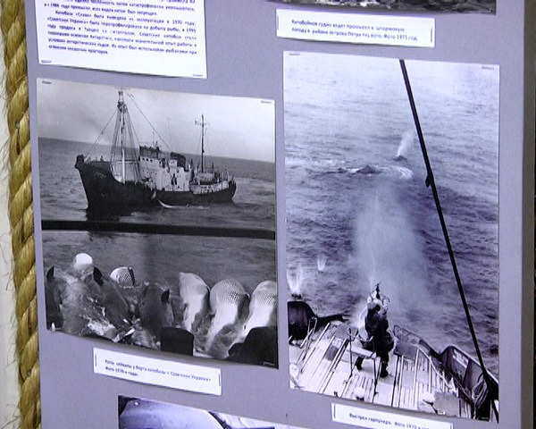 Музей рыбаков в Севастополе пополнился новыми экспонатами