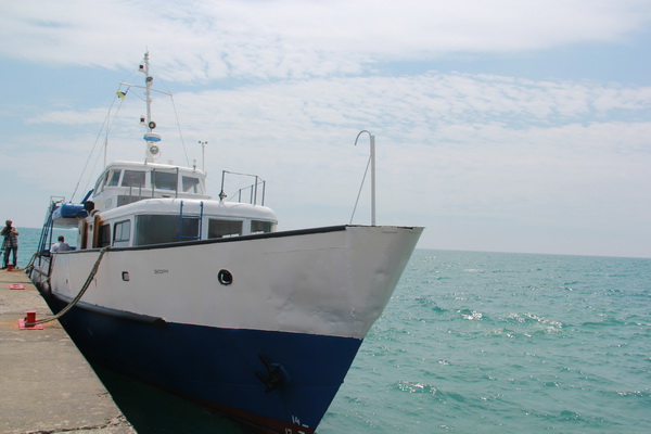 В алуштинском детском лагере «Берег» торжественно открыли смену