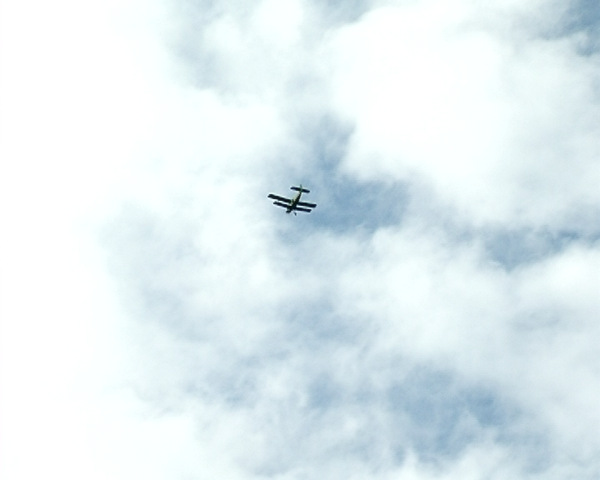 В Севастополе завершился фестиваль парашютистов