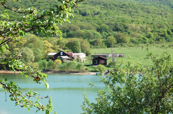 По лесам Белогорья