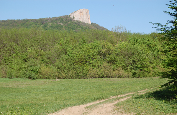 По лесам Белогорья