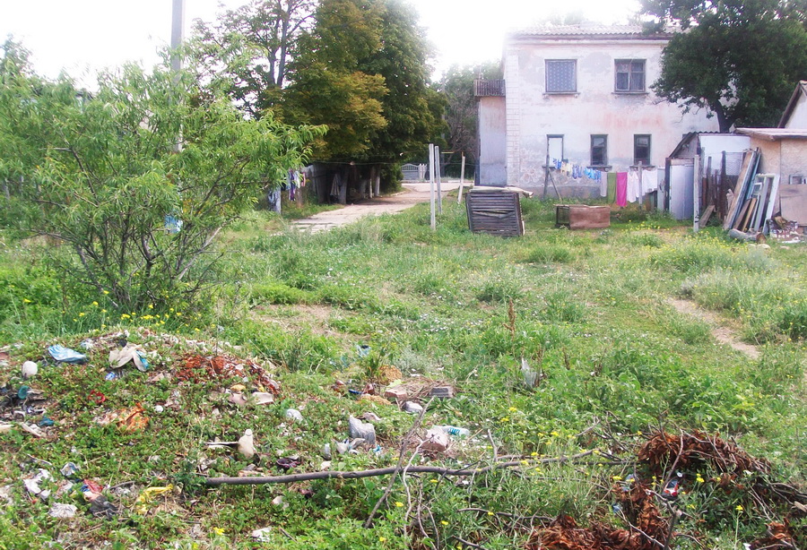 В Кольчугино стихийная свалка кишит змеями и крысами