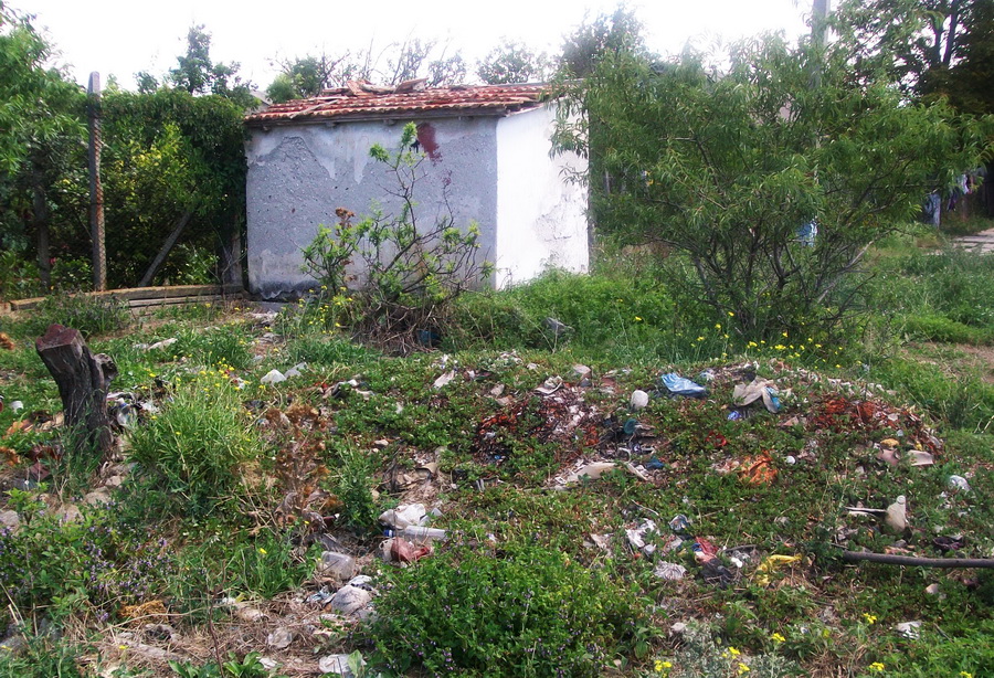 В Кольчугино стихийная свалка кишит змеями и крысами