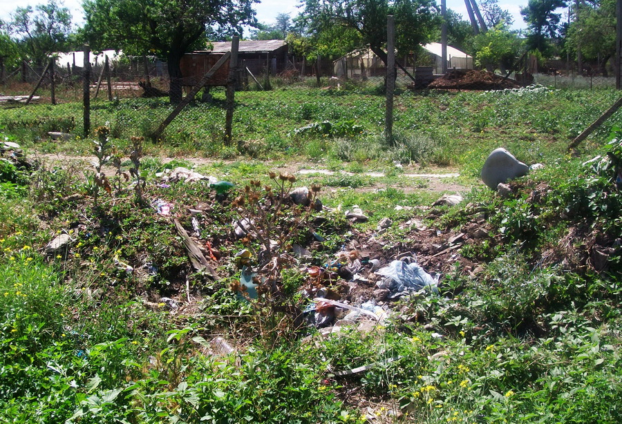 В Кольчугино стихийная свалка кишит змеями и крысами