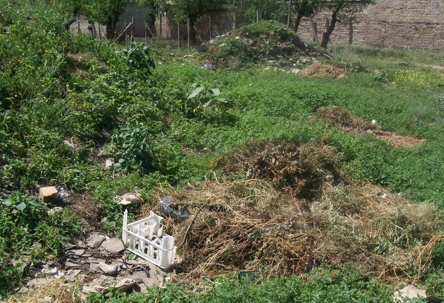 В Кольчугино стихийная свалка кишит змеями и крысами