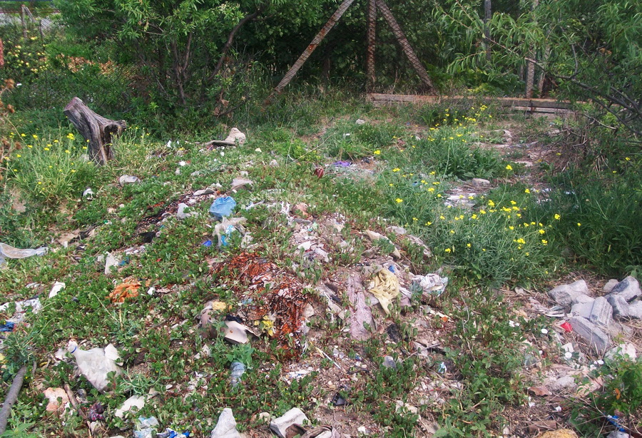 В Кольчугино стихийная свалка кишит змеями и крысами