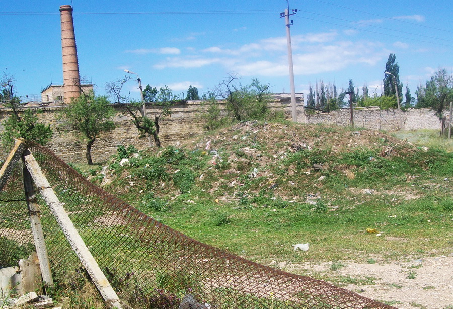В Кольчугино стихийная свалка кишит змеями и крысами