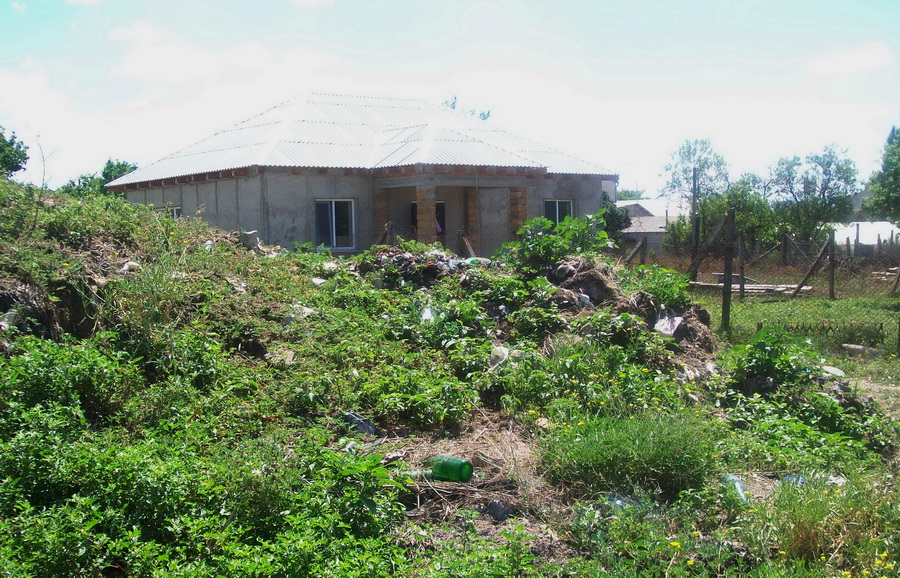 В Кольчугино стихийная свалка кишит змеями и крысами