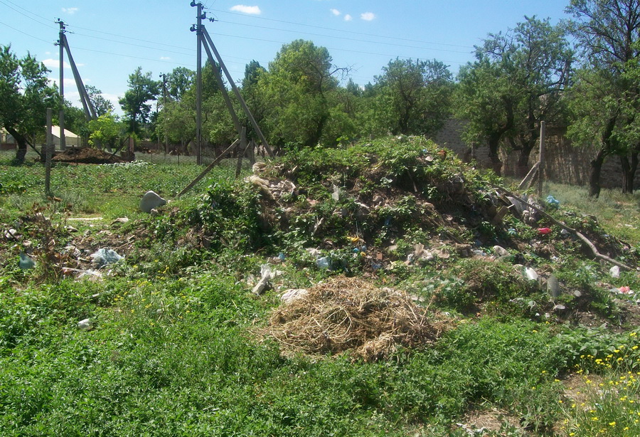 В Кольчугино стихийная свалка кишит змеями и крысами