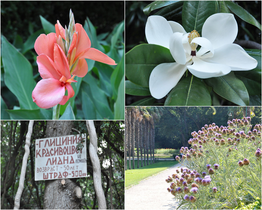 Один день в Мисхорском парке