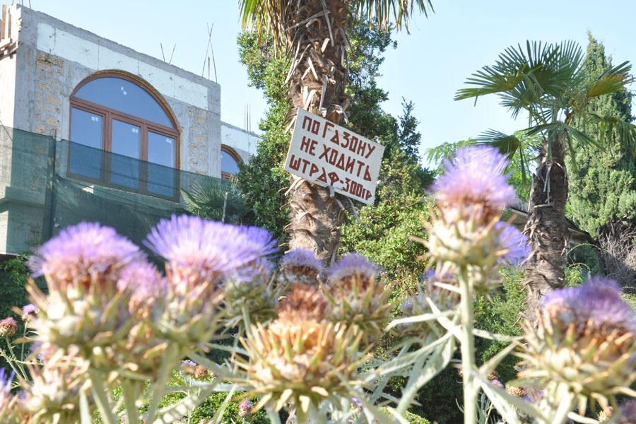 Один день в Мисхорском парке