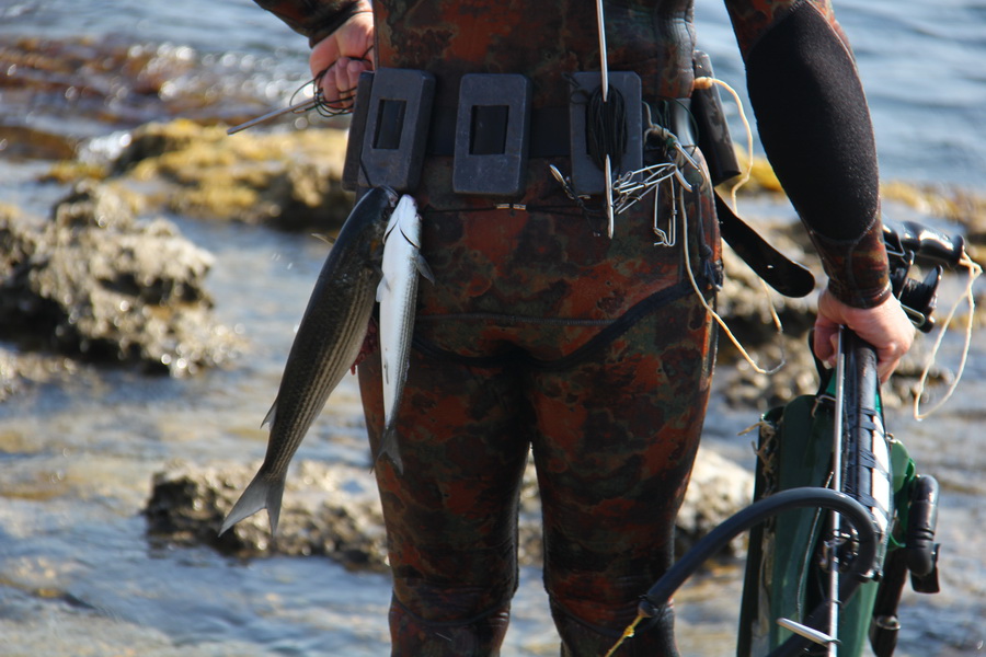 В Черноморском районе прошли соревнования подводных охотников