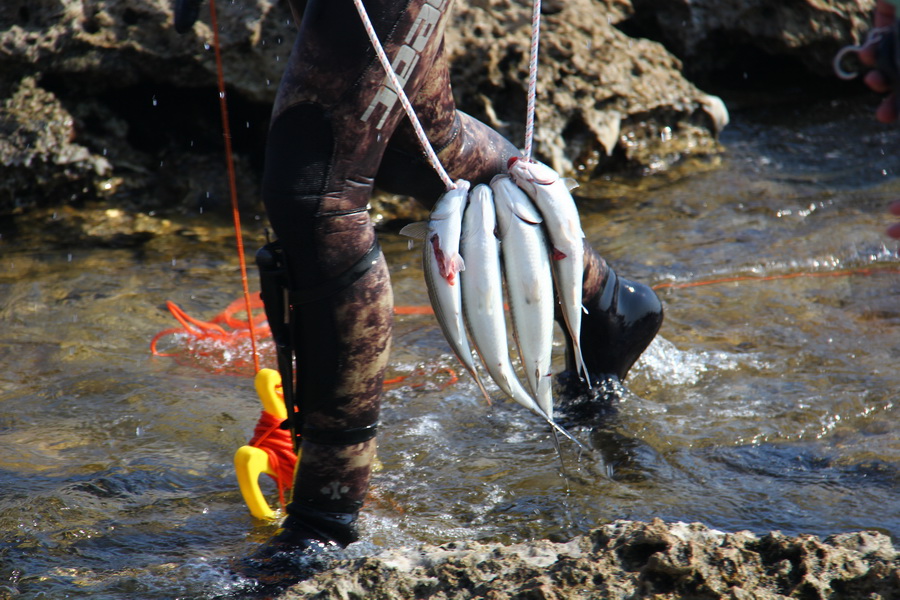 В Черноморском районе прошли соревнования подводных охотников