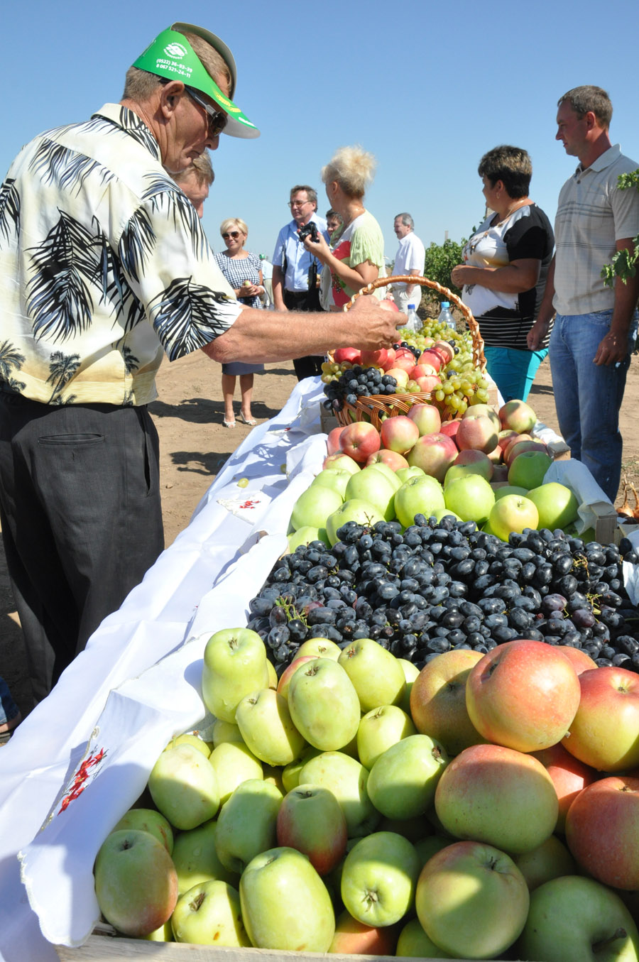 В Крыму обсудили итоги уборки зерновых и эффективность капельного орошения