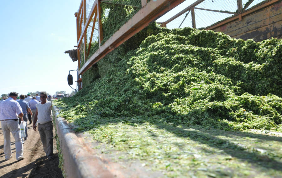 В Крыму обсудили итоги уборки зерновых и эффективность капельного орошения