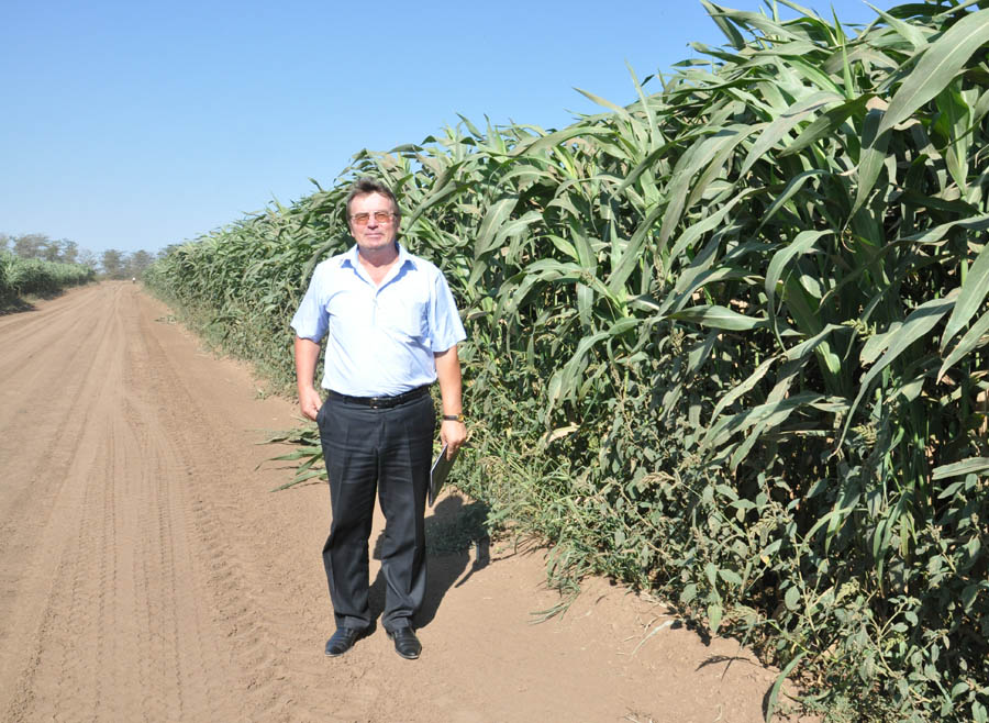 В Крыму обсудили итоги уборки зерновых и эффективность капельного орошения