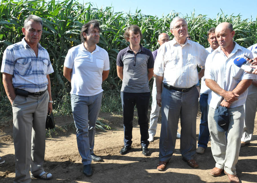 В Крыму обсудили итоги уборки зерновых и эффективность капельного орошения