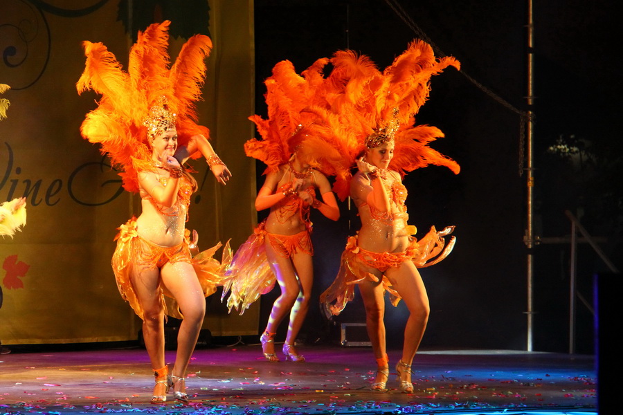 На фестивале «WineFeoFest» представили более 200 сортов вина