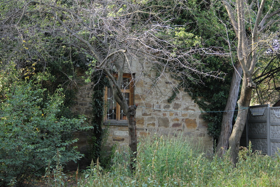 Дом матери Волошина передадут заповеднику