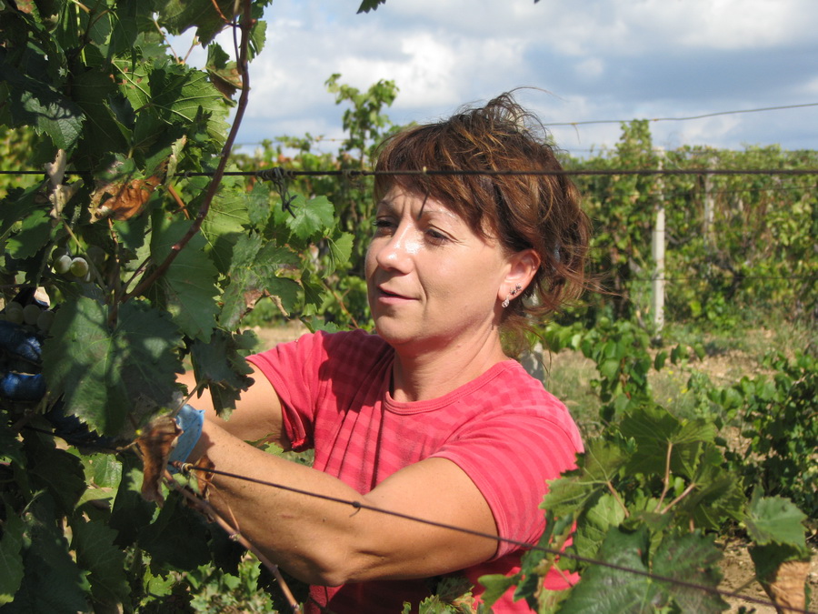 В Крыму открыли пусковой комплекс нового винзавода