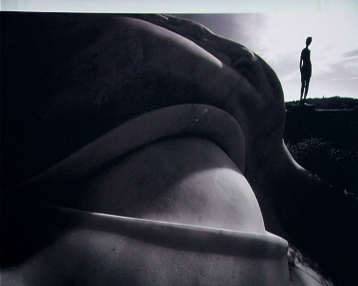 В Севастополе демонстрируют «Линию горизонта»