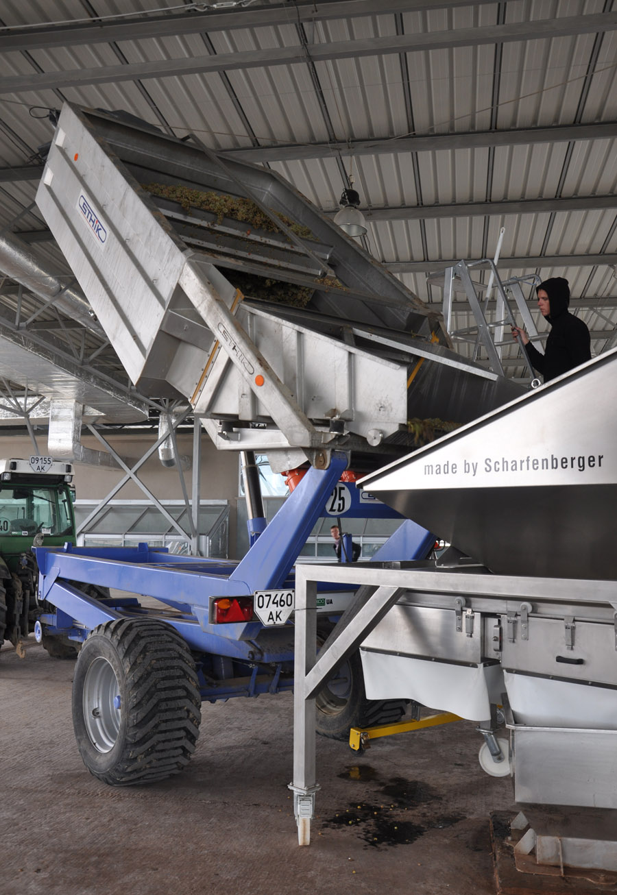 В Бахчисарайском районе открыли завод по производству элитных вин