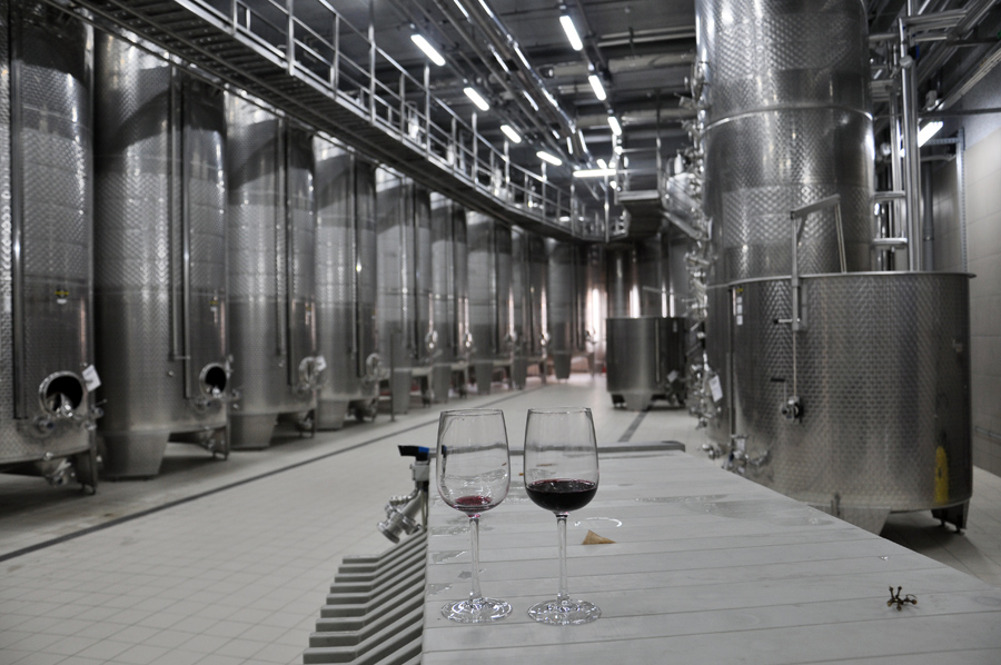 В Бахчисарайском районе открыли завод по производству элитных вин