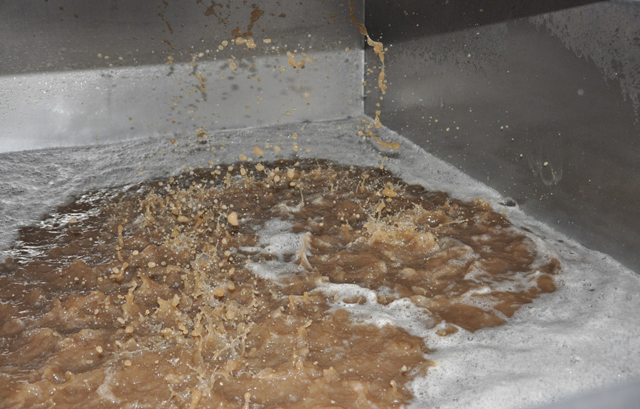 В Бахчисарайском районе открыли завод по производству элитных вин