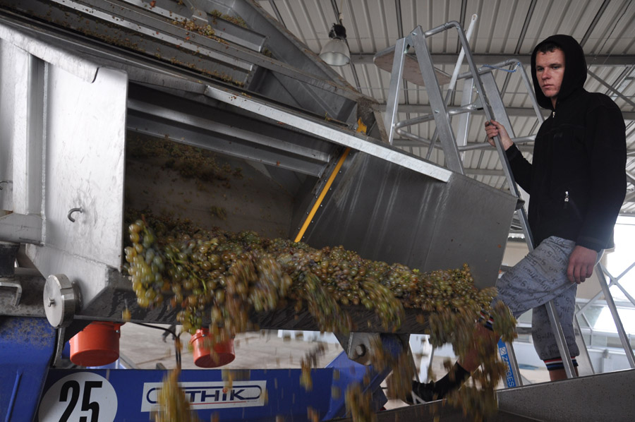 В Бахчисарайском районе открыли завод по производству элитных вин