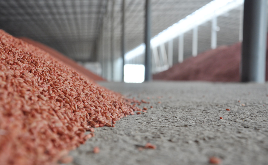 Спикер Крыма посетил агропредприятия и социальные объекты Симферопольского района