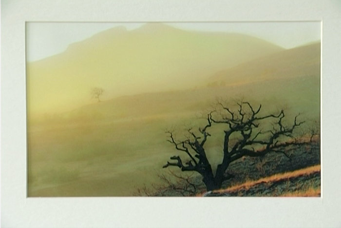 В Севастополе представили фотовыставку «Киммерия»