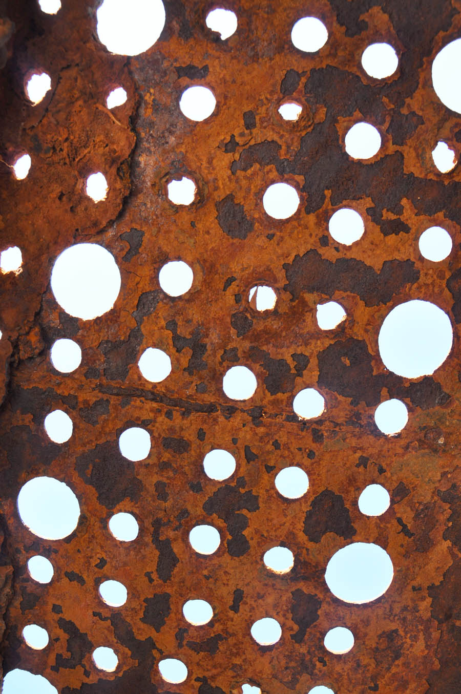 Черноморскому центру подводных исследований передали поднятые со дна орудия подлодки «Щ-216»