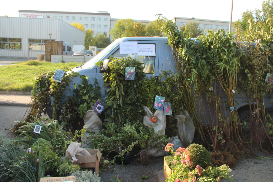 В Симферополе провели большую осеннюю ярмарку 