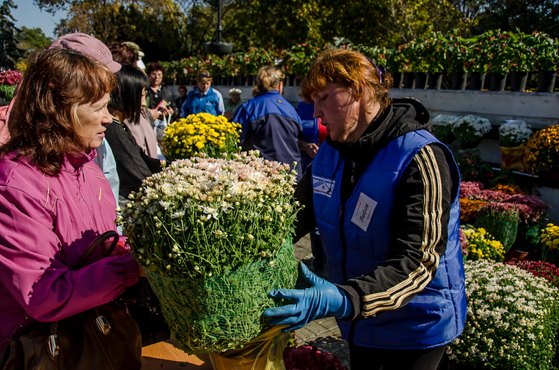 В Севастополе впервые проходит бал хризантем