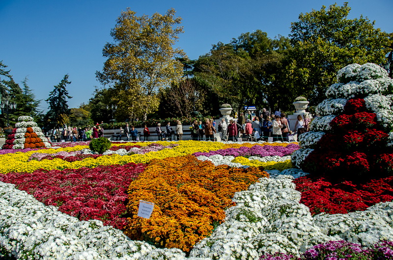 В Севастополе впервые проходит бал хризантем