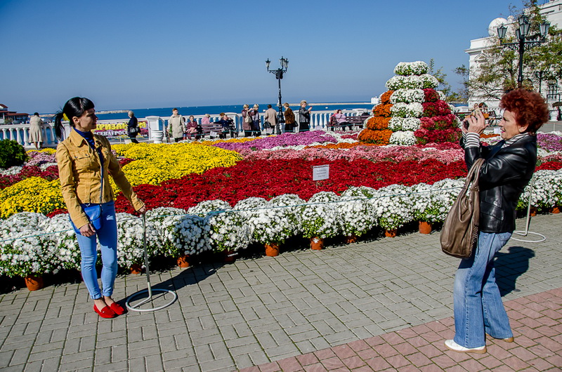 В Севастополе впервые проходит бал хризантем