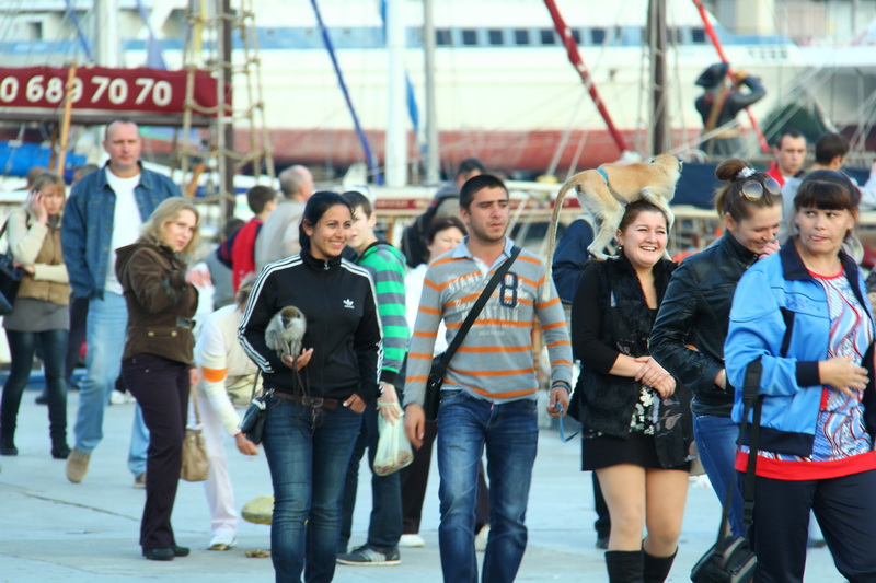 На набережной Ялты фотографы продолжают использовать животных