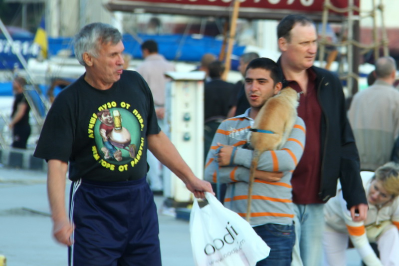 На набережной Ялты фотографы продолжают использовать животных