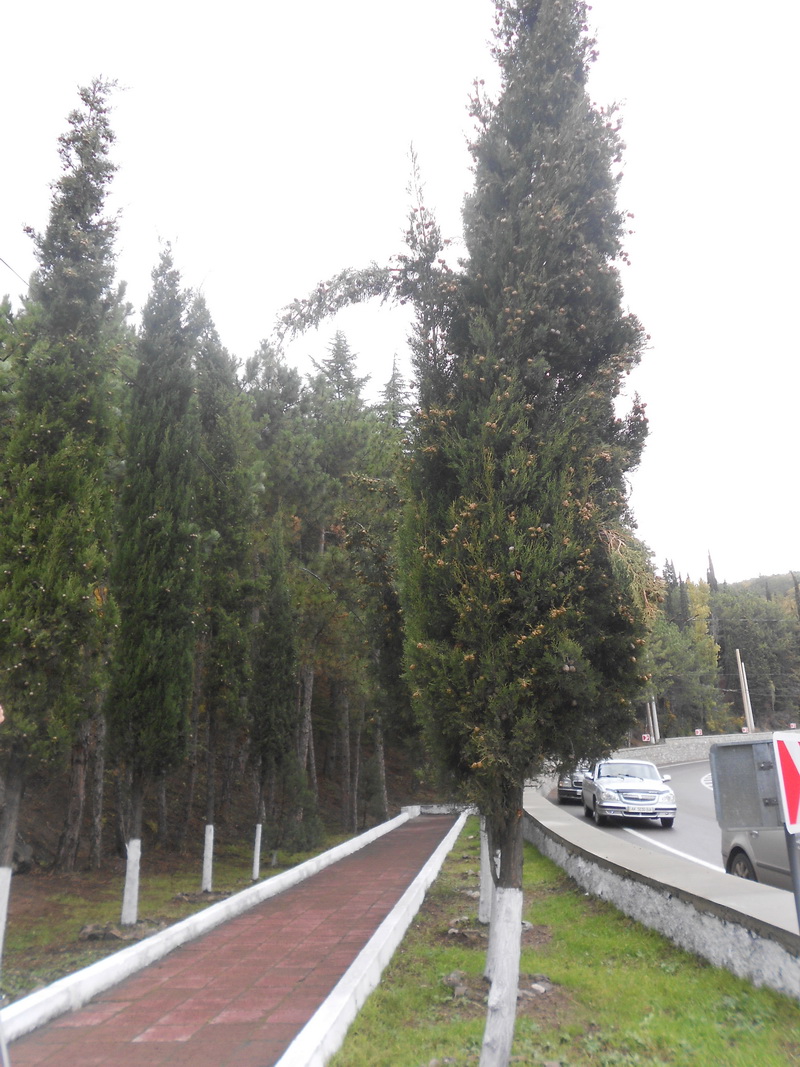 В Алуште почтили память погибших в аварии шахтеров