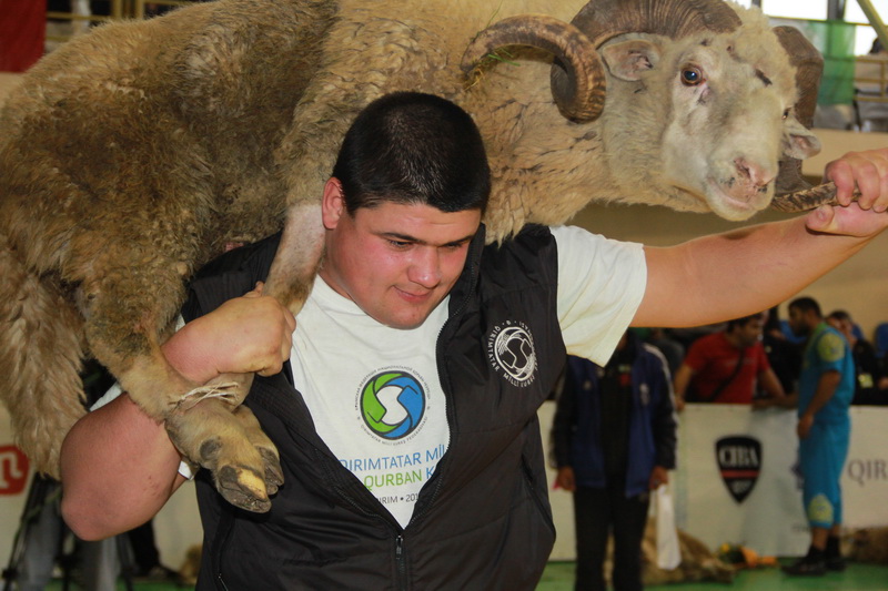 В Симферополе определили абсолютного победителя в борьбе куреш