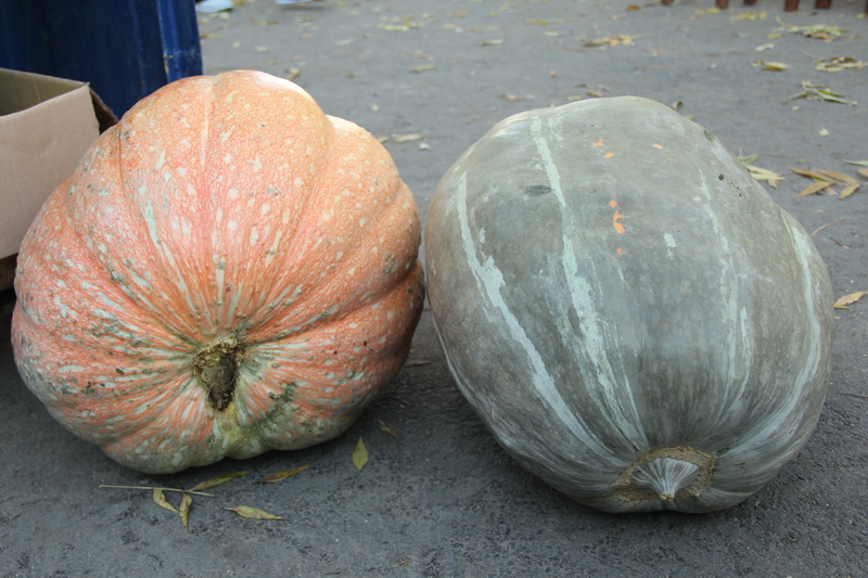 В Симферополе готовятся к сельскохозяйственной ярмарке