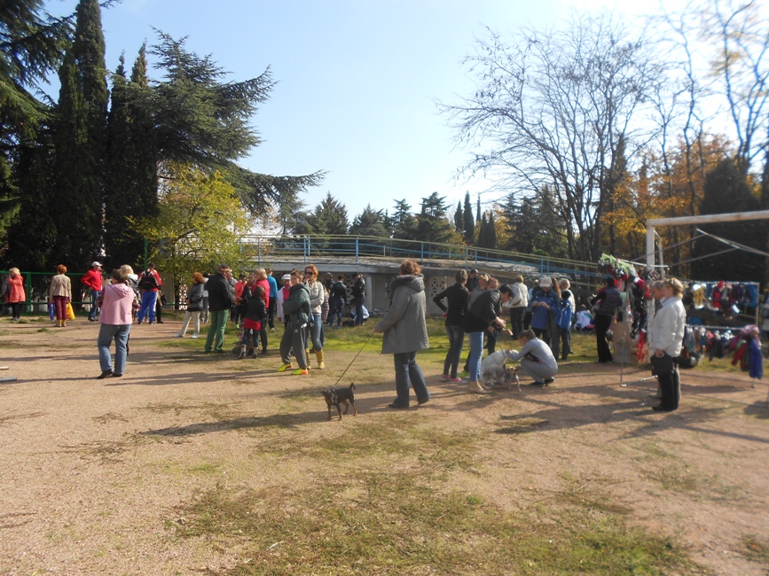 В Алуште провели выставку собак 