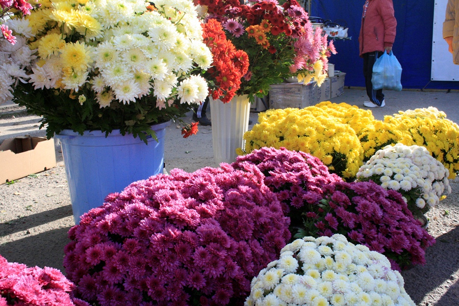 В Симферополе провели третью осеннюю ярмарку