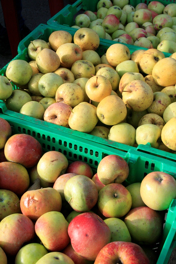В Симферополе провели третью осеннюю ярмарку