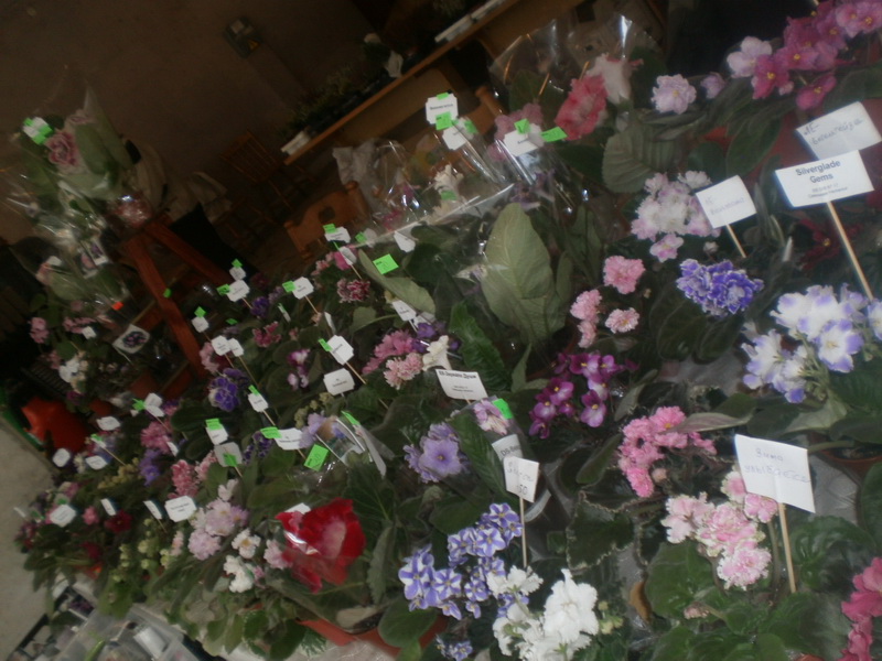 В Алуште проходит ярмарка для садоводов